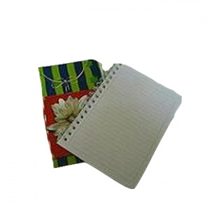 cuad010 cuaderno espiral pequeno 100 hoj lineas